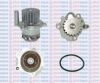 AQUAPLUS 85-6010 Water Pump